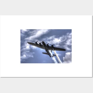 Sally B Posters and Art